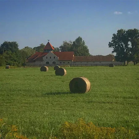 Csaladi Panzio Nocleg ze śniadaniem